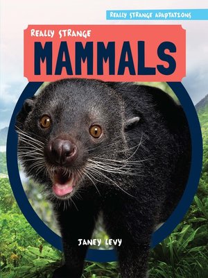cover image of Really Strange Mammals